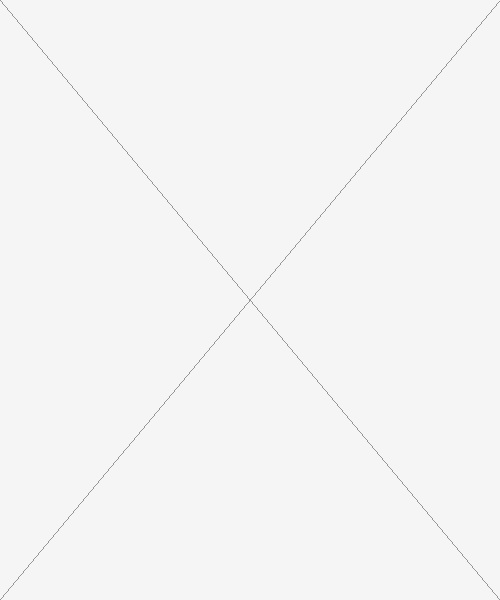 Cvalda.cz - Dámská fleecová bunda Frosty